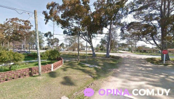 Puesto de frutas y verduras Ismael - 15100 Salinas