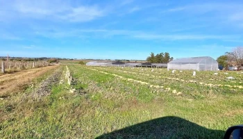 Punto Verde - Unnamed Road Punto Verde - Unnamed Road