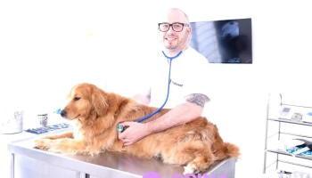 PuntoVet 4 - 11300 Montevideo PuntoVet 4 - 11300 Montevideo