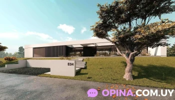 Raíz Propiedades - Montevideo