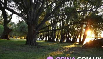 Rambla De Nuevo Berlin, Rio Negro - 18 De Julio Rambla De Nuevo Berlin, Rio Negro - 18 De Julio