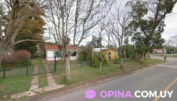 ramona creativa - Parque Del Plata