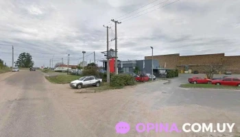 Re/max Xs Focus - Pando