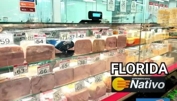 Red Expres Nativo Florida - 94000 Florida Red Expres Nativo Florida - 94000 Florida