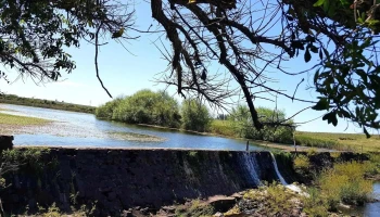 Represa/Parque - Av. Gral. Artigas Represa/Parque - Av. Gral. Artigas