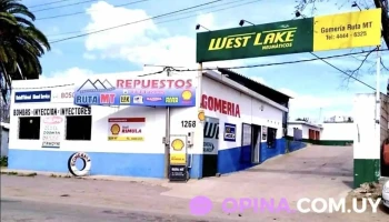 Repuestos Ruta Mt Automóviles - 30000 Minas