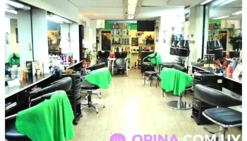 Revive hair studio - 11100 Montevideo