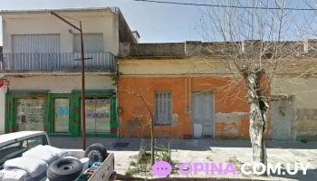 Rincon de las Mascotas - 91100 San Ramón Rincon de las Mascotas - 91100 San Ramón