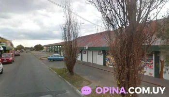 Romy Desde 1960 - 20400 San Carlos