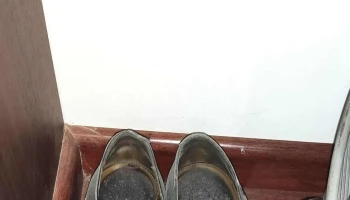 Ruggiero Negocios Imnobiliarios - Montevideo Ruggiero Negocios Imnobiliarios - Montevideo