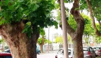 Sacra Propiedades - Col. Del Sacramento