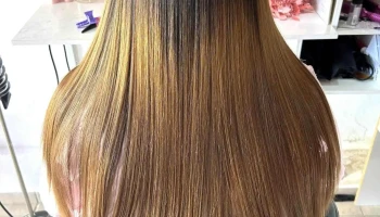 SagittariusProgresivos - Av. Gral. Jose Gervasio Artigas Y