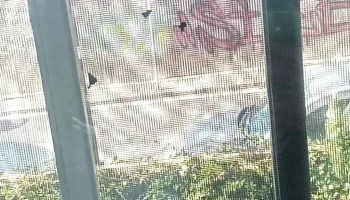 Salon Pekas - 11400 Montevideo Salon Pekas - 11400 Montevideo