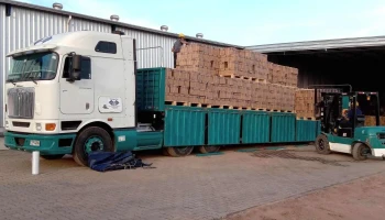 Sammel - Montevideo Sammel - Montevideo