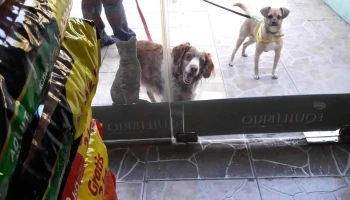 Shopping-Vet - 11300 Montevideo Shopping-Vet - 11300 Montevideo