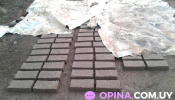 Sirio F.m. 89.5 - Gral. Jose Gervasio Artigas