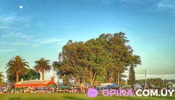 Sociedad Criolla Los Treinta y Tres - 33000 Treinta Y Tres Sociedad Criolla Los Treinta y Tres - 33000 Treinta Y Tres