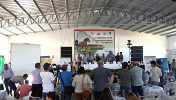 Sociedad Hípica Los Tauras - 40003 Vichadero