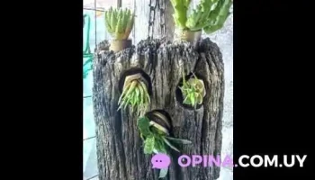 Soluciones Juan Carlos - 15200 Estación Atlántida Soluciones Juan Carlos - 15200 Estación Atlántida