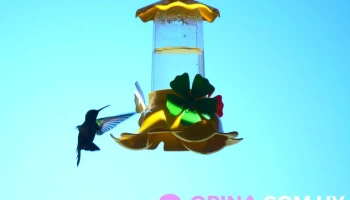 Soñar despierto Yao Yao camping Motorhome y Casas Rodante - El Zorzal Esquina Soñar despierto Yao Yao camping Motorhome y Casas Rodante - El Zorzal Esquina