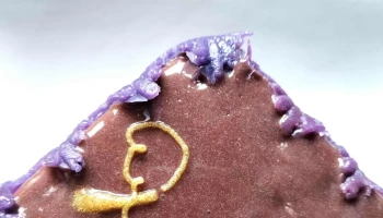 Sr Mabipark - Maldonado Sr Mabipark - Maldonado