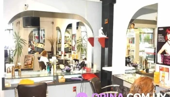 Staff Mario Coiffeurs - Bis Esq