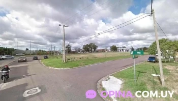 Stock Mayor Distribuciones - 20000 Maldonado Stock Mayor Distribuciones - 20000 Maldonado