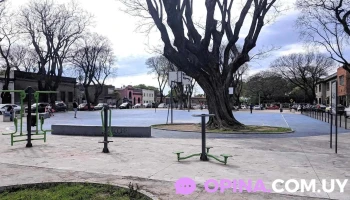 Su Academia de Conducción - Montevideo