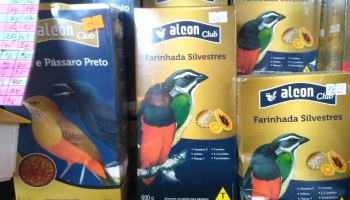 Super Mascota - 15000 Ciudad De La Costa