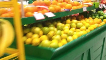 Ta-Ta La Blanqueada - 11400 Montevideo Ta-Ta La Blanqueada - 11400 Montevideo