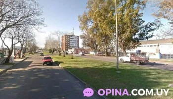 Tabacaleste Srl - Uruguay - 20000 Maldonado Tabacaleste Srl - Uruguay - 20000 Maldonado