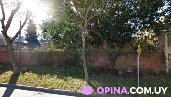 The Green Nature - Departamento De Montevideo The Green Nature - Departamento De Montevideo