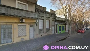 Tidy - 11800 Montevideo