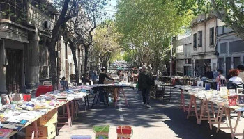 Tiendacanica - Montevideo Tiendacanica - Montevideo