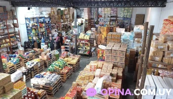 Tison - 20000 Maldonado