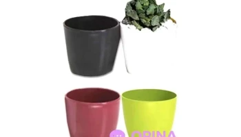 Todoenvases - 97000 Durazno