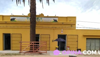 Toros Agroveterinaria - Ituzaingo Y Toros Agroveterinaria - Ituzaingo Y