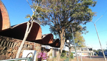 Transito Intendencia De Salto - Andrés Latorre Transito Intendencia De Salto - Andrés Latorre