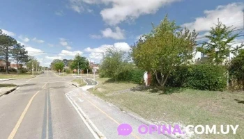 Trena academia - Montevideo Trena academia - Montevideo