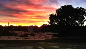 Trilky S.a. (Pilsen Rivera) - 40000 Rivera