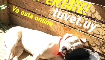 Tuvet Centro Veterinario - 11400 Montevideo