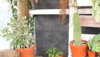 Unidad de Semilla - Maltería Uruguay - 70800 Ombúes De Lavalle