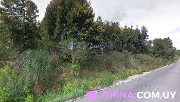 Uruguaw - 12800 Montevideo Uruguaw - 12800 Montevideo