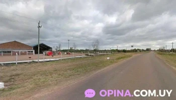 UTE-Almacén C583 Salto - Av. Pascual Harriague