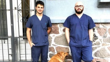 Uvet - 11600 Montevideo