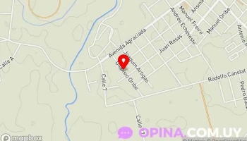 Vamos Que Vamos S.en.c - Dionisio Oribe