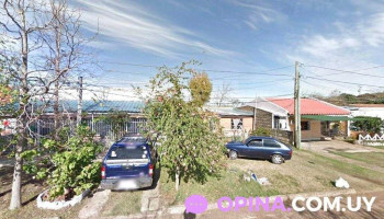 Vanevet_servicios veterinarios - 50000 Salto