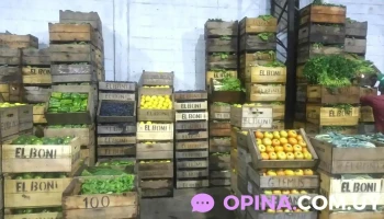 Verduleria Marcelo Somma - 45100 Paso De Los Toros Verduleria Marcelo Somma - 45100 Paso De Los Toros