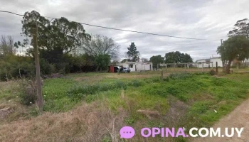 Vet Delivery - Ruta 8 Vet Delivery - Ruta 8