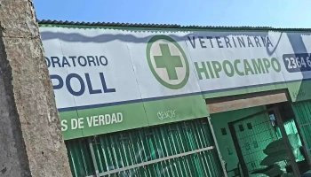 Vet Hipocampo - 15900 Las Piedras Vet Hipocampo - 15900 Las Piedras